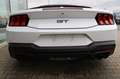 Ford Mustang Convertible GT 5.0 V8 NEUES MODELL White - thumbnail 8