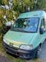 Peugeot Camper Burow Ausbau Grün - thumbnail 2