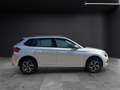 Skoda Kamiq TSI Ambition LED Pano GRA PDC SH LM Silber - thumbnail 8