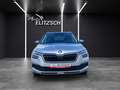 Skoda Kamiq TSI Ambition LED Pano GRA PDC SH LM Silber - thumbnail 10