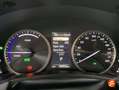 Lexus NX 300 300h Business 2WD Grau - thumbnail 14