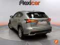 Lexus NX 300 300h Business 2WD Grau - thumbnail 5