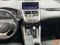 Lexus NX 300 300h Business 2WD Grau - thumbnail 11