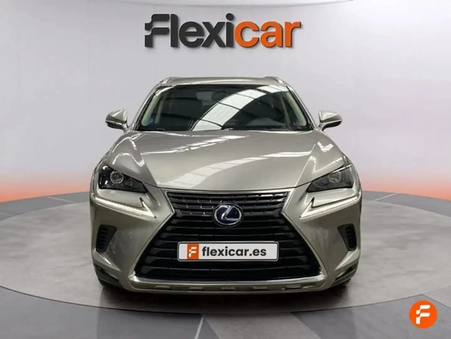 Lexus NX 300 300h Business 2WD Grau - 2