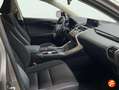 Lexus NX 300 300h Business 2WD Gris - thumbnail 13