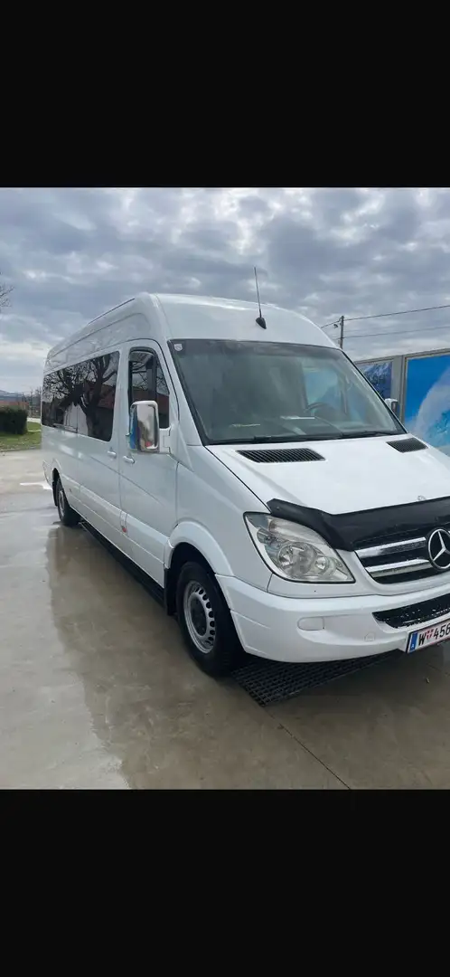 Mercedes-Benz Sprinter 315 CDI Blanc - 2