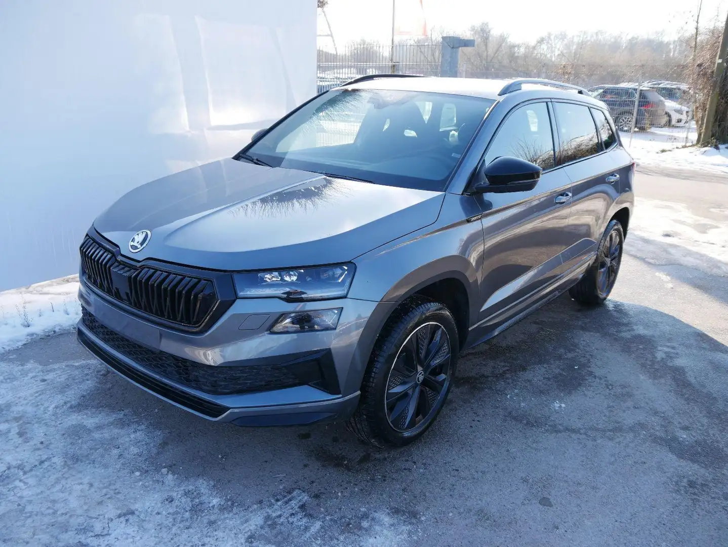 Skoda Karoq Sportline 2.0 TSI 4x4 DSG DSG*KESSY*TEMPOMAT*PD... Grau - 1