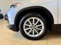 BMW X2 sDrive 18d Business Білий - thumbnail 13