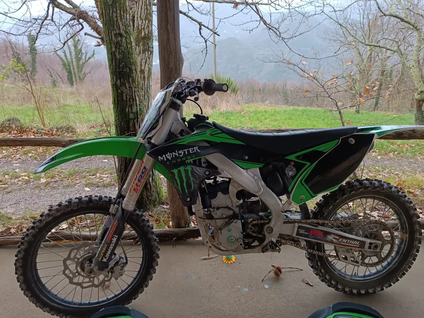 Kawasaki KX 250 kx 250 4t Verde - 2