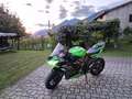 Kawasaki Ninja ZX-6R 636 Performance Verde - thumbnail 10