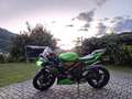 Kawasaki Ninja ZX-6R 636 Performance Verde - thumbnail 8