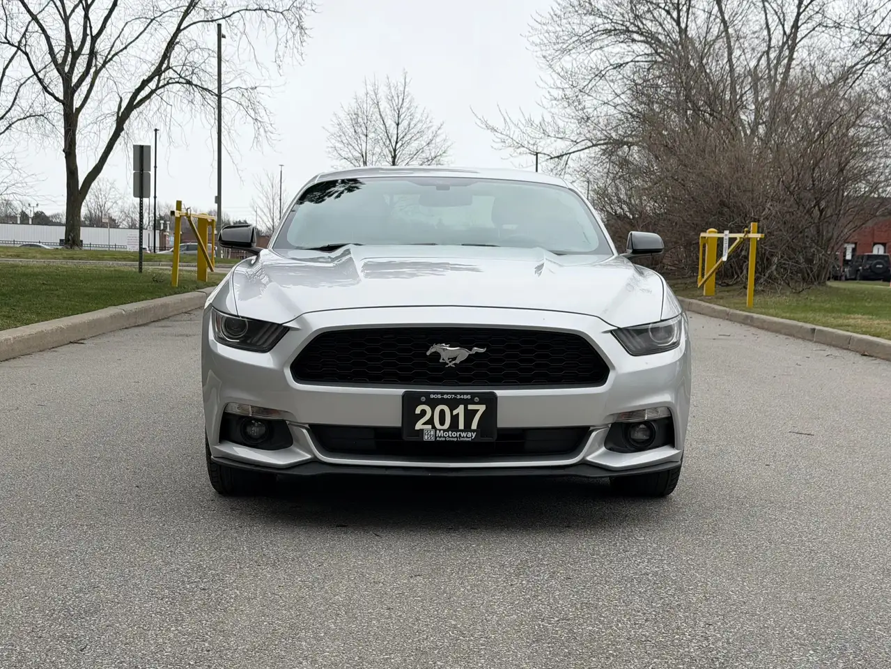 Ford Mustang снимка Ford Mustang