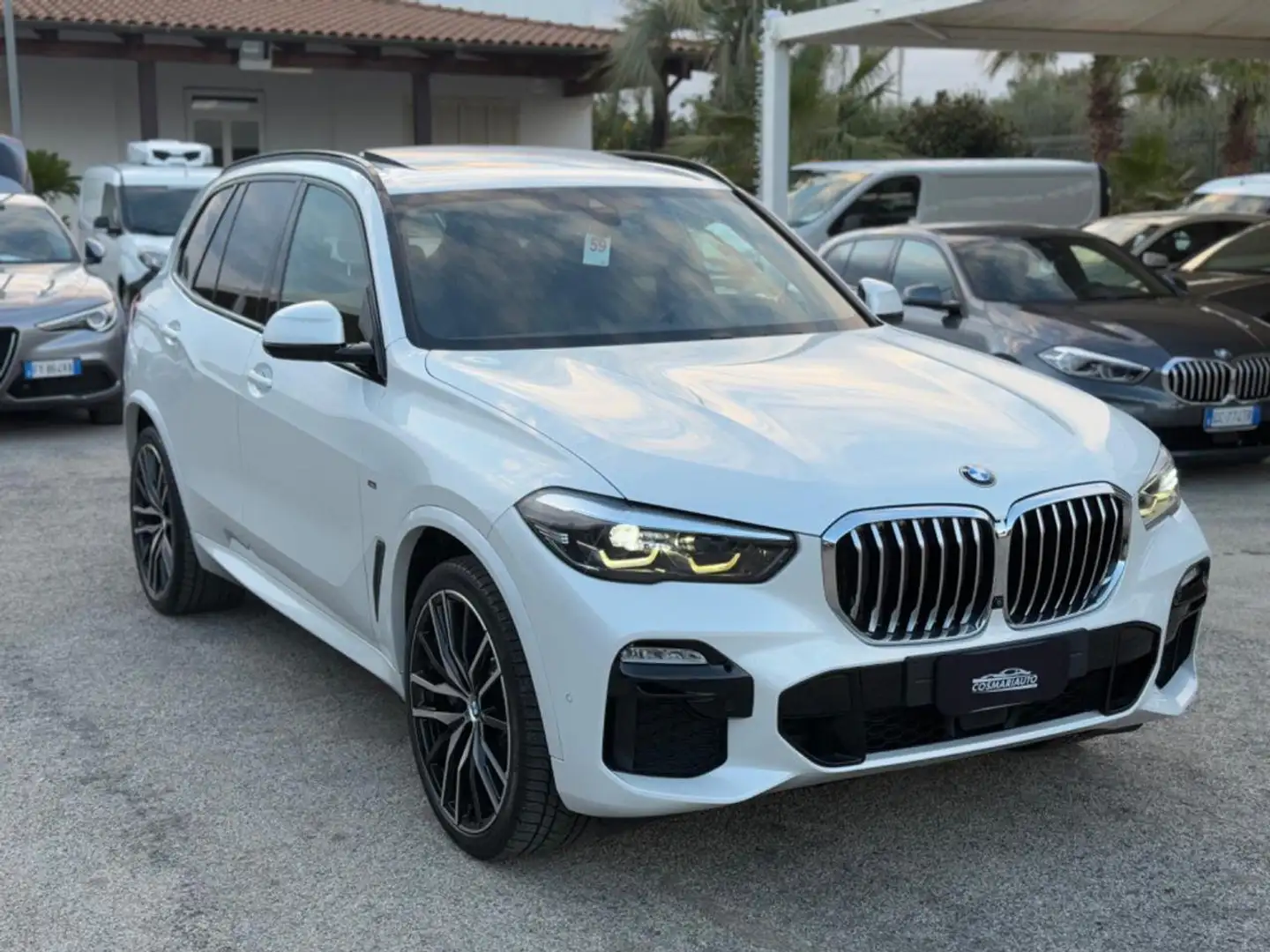 BMW X5 xDrive30d Msport *TETTO Blanco - 1