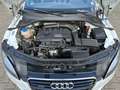 Audi TT Roadster 2.0 TFSI S tronic quattro Белый - thumbnail 11