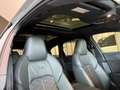 Audi RS6 Avant 4.0 TFSI quattro s tronic -CARBONCERAMICA! Gris - thumbnail 19
