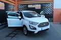 Ford EcoSport 1.0 EcoBoost Trend 100 Bianco - thumbnail 6