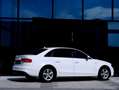 Audi A4 2.0 TDI S-LINE Weiß - thumbnail 6