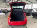 Skoda Scala 1.0 TSI 110PS/LED/Kamera/Carplay/Alu/1Hd. Rot - thumbnail 22