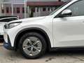 BMW iX1 xDrive30 64,7kWh Blanc - thumbnail 8