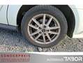 Ford Tourneo Grand  Connect 1.5 TDCi Aut.Titanium 7S - thumbnail 13