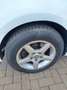 Volkswagen Golf Golf VI 2008 5p 1.4 United 80cv - thumbnail 8