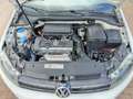 Volkswagen Golf Golf VI 2008 5p 1.4 United 80cv - thumbnail 12