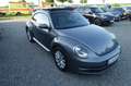 Volkswagen Beetle 1.2 TSI PANORAMA KLIMA SITZH XEN TÜV 5/27 Grau - thumbnail 4