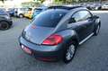 Volkswagen Beetle 1.2 TSI PANORAMA KLIMA SITZH XEN TÜV 5/27 Grau - thumbnail 5