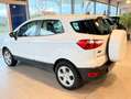Ford EcoSport Ecosport 1.0 EcoBoost FWD Business Class Blanc - thumbnail 3