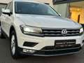 Volkswagen Tiguan Highline BMT/Start-Stopp 4Motion/HU NEU Blanco - thumbnail 8