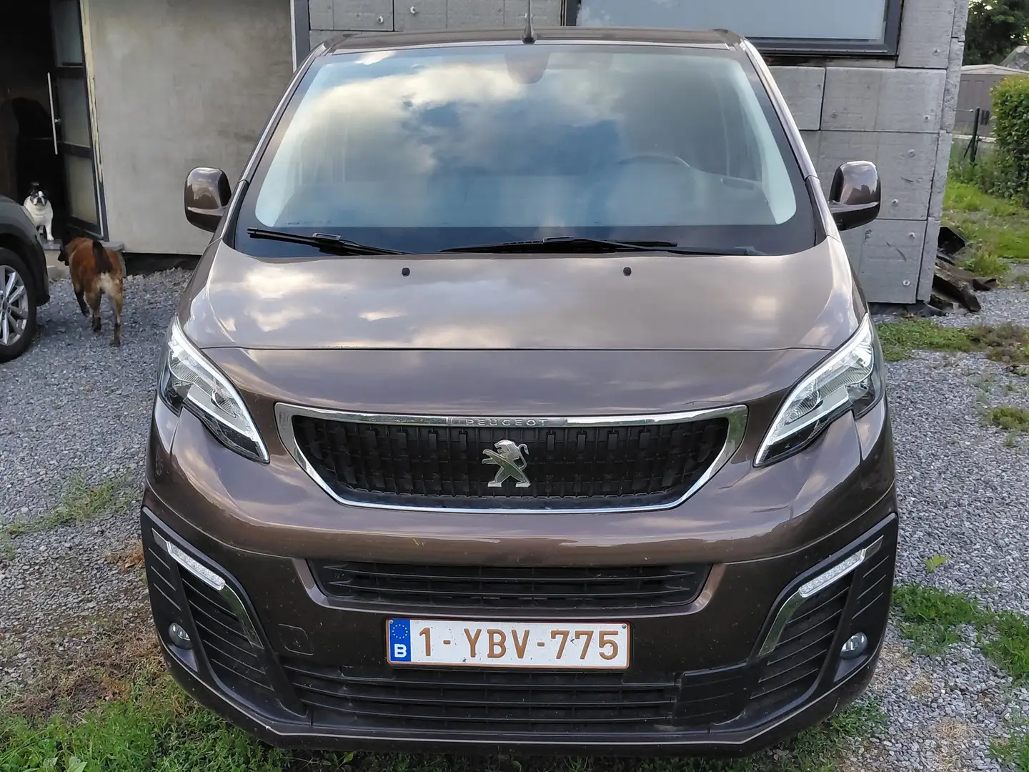 Peugeot Expert 2.0 BlueHDi L1 Compact Premium Pack S Hnědá - 1