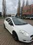 Fiat Punto Punto 1.4-16V Sport Wit - thumbnail 7