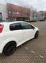 Fiat Punto Punto 1.4-16V Sport Wit - thumbnail 6