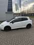 Fiat Punto Punto 1.4-16V Sport Wit - thumbnail 2