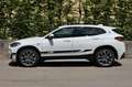 BMW X2 Baureihe X2 xDrive 25 e Edition M Mesh Weiß - thumbnail 5