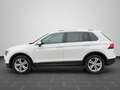 Volkswagen Tiguan 2.0 TDI Comfortline NAVI SHZ ACC AHK Weiß - thumbnail 7