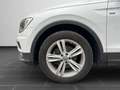 Volkswagen Tiguan 2.0 TDI Comfortline NAVI SHZ ACC AHK Weiß - thumbnail 8