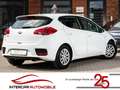 Kia Ceed / cee'd 1.4 Edition 7 |LPG-GAS|CarPlay|Allwettr.| - thumbnail 11