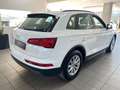 Audi Q5 35 TDI quattroAutomatik|1.Hand|PDC|Garantie Weiß - thumbnail 3