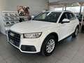 Audi Q5 35 TDI quattroAutomatik|1.Hand|PDC|Garantie Weiß - thumbnail 1