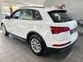 Audi Q5 35 TDI quattroAutomatik|1.Hand|PDC|Garantie Weiß - thumbnail 2