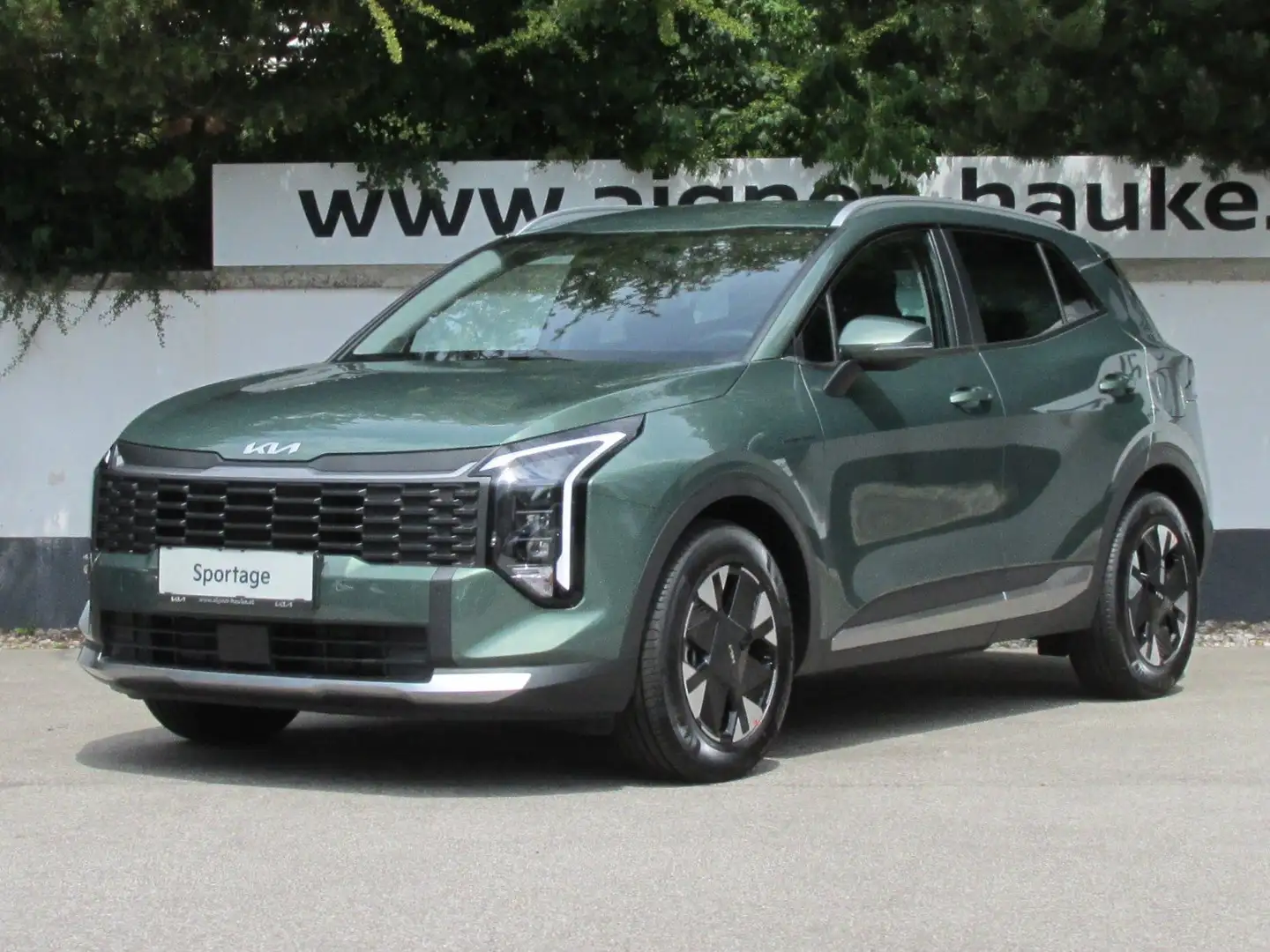 Kia Sportage 1,6 TGDI Silber Grün - 1