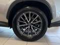 Lexus NX 450h+ 450H + PREMIUM + 4WD Gris - thumbnail 7