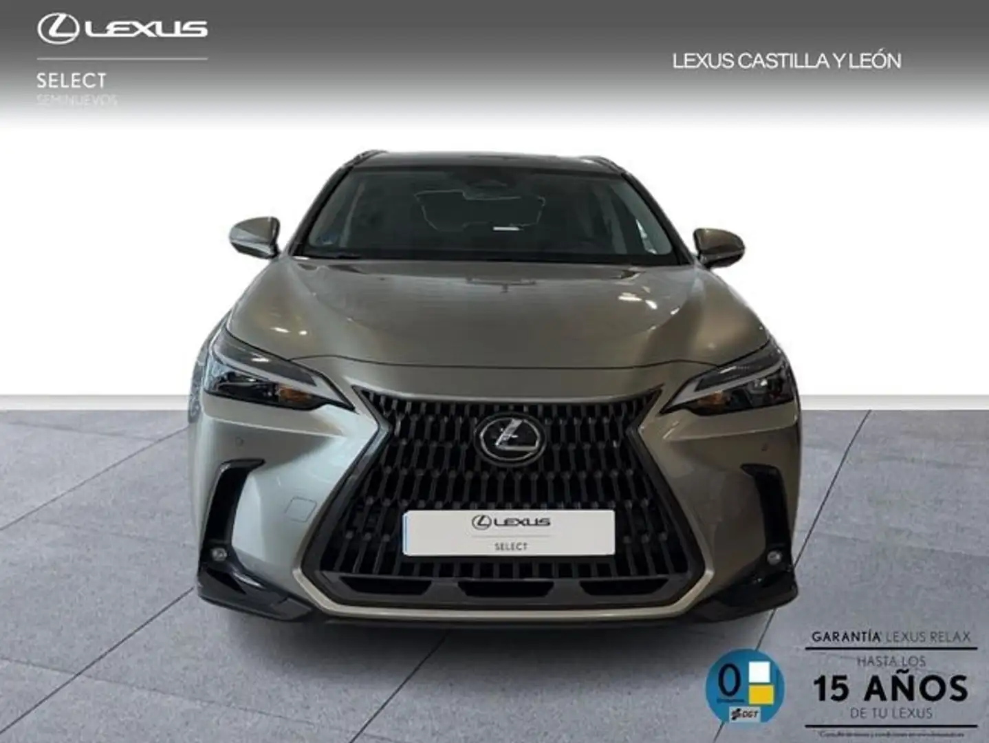 Lexus NX 450h+ 450H + PREMIUM + 4WD Gris - 2