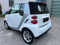 smart forTwo Cabrio  / 1. Hand / TÜV NEU / Service NEU Weiß - thumbnail 4