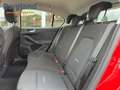 Ford Focus 1,5 l EcoBlue 120 PS 5T Active Rojo - thumbnail 12