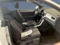 Volkswagen T-Roc Cabriolet 1.0 TSI STYLE NAVI PDC GJ-REIFEN SITZ... Weiß - thumbnail 3