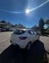 Renault Clio 1.5 Dci Authentique 75 cv Beige - thumbnail 3