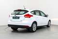 Ford Focus 1.0 Ecoboost Trend+ 125 Blanco - thumbnail 6