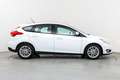Ford Focus 1.0 Ecoboost Trend+ 125 Blanco - thumbnail 7